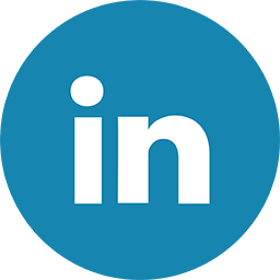 LinkedIn button